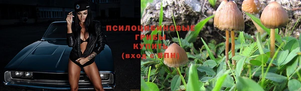 эйфоретик Елизово