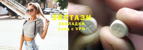 ECSTASY Ельня
