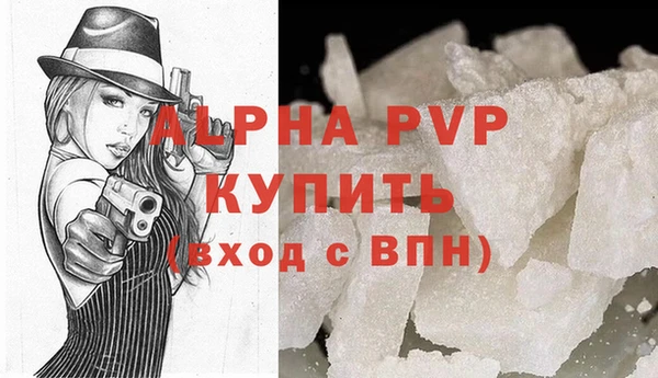 ECSTASY Ельня