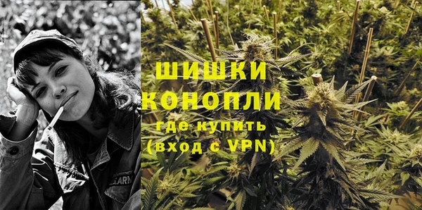 ECSTASY Ельня
