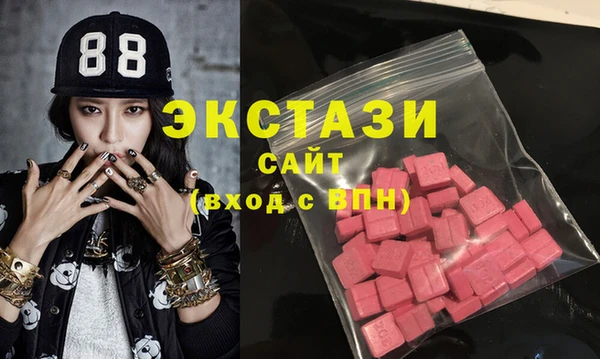 ECSTASY Ельня