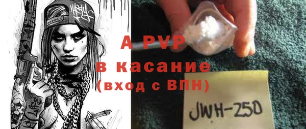 ECSTASY Ельня