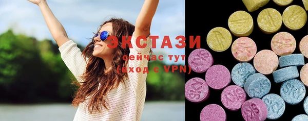 ECSTASY Ельня