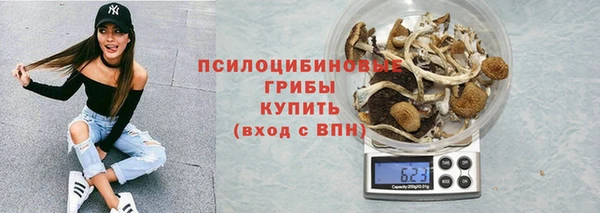 ECSTASY Ельня