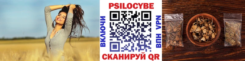 Псилоцибиновые грибы Psilocybe  Купить  Чадан 